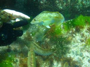 994175_478692202201693_2075261515_n