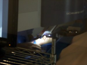 SAMSUNG CAMERA PICTURES