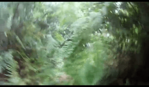 Screenshot 2014-08-18 16.41.33